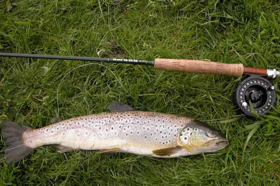 Ulverston Angling Photo